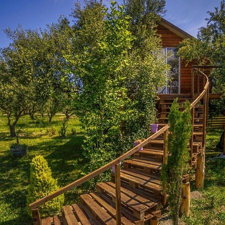 Fairytale Hotell Koukounariá Eksteriør bilde